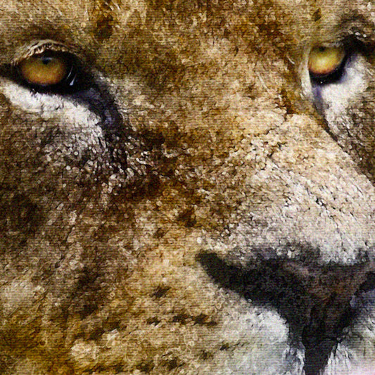 LEONE - POSTER in PVC da 3mm - PlastiWood (14555607)