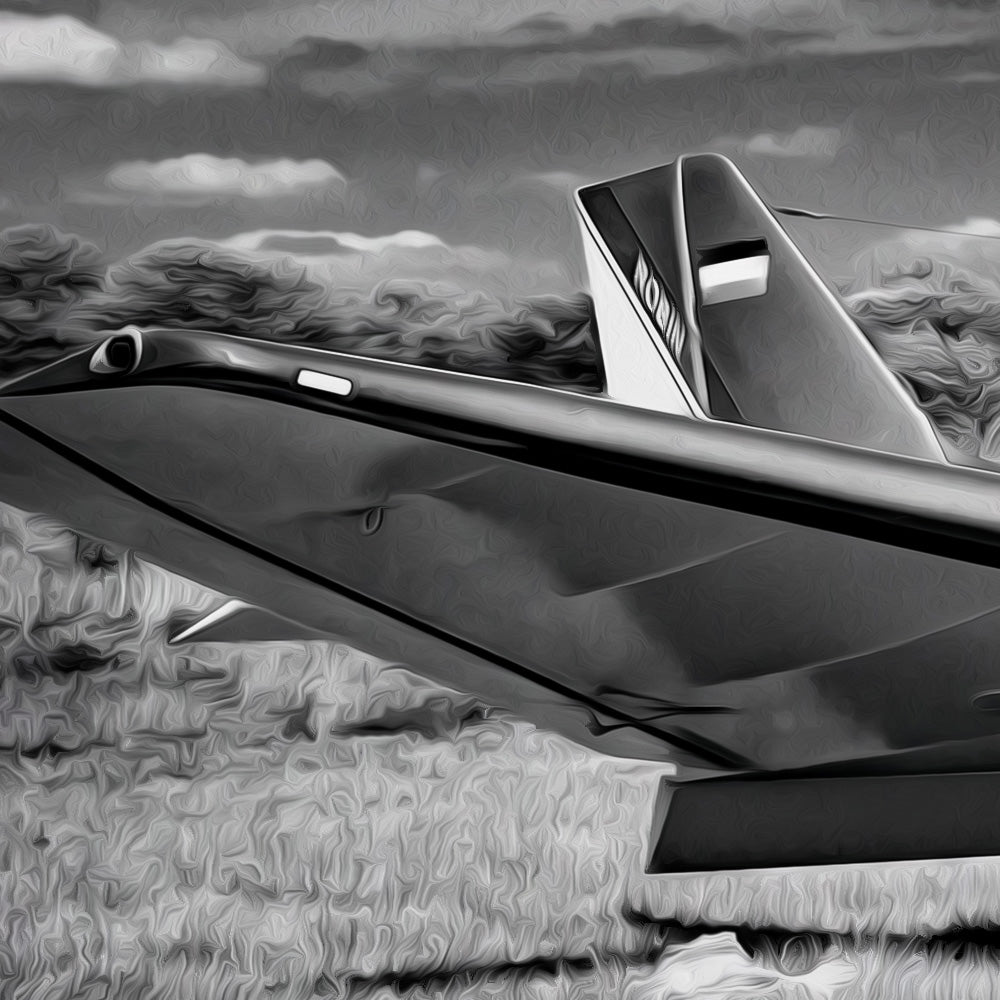 AIRPLANE - POSTER in PVC da 3mm - PlastiWood (14552160)