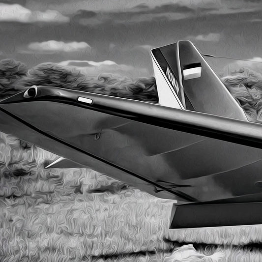 AIRPLANE - POSTER in PVC da 3mm - PlastiWood (14552160)