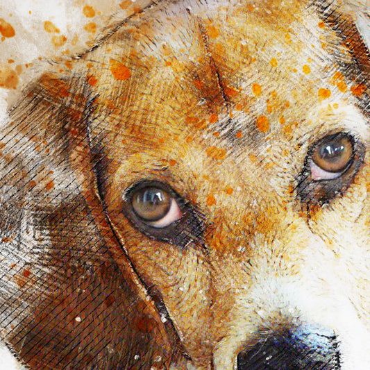 BEAGLE - POSTER in PVC da 3mm - PlastiWood (14552745)