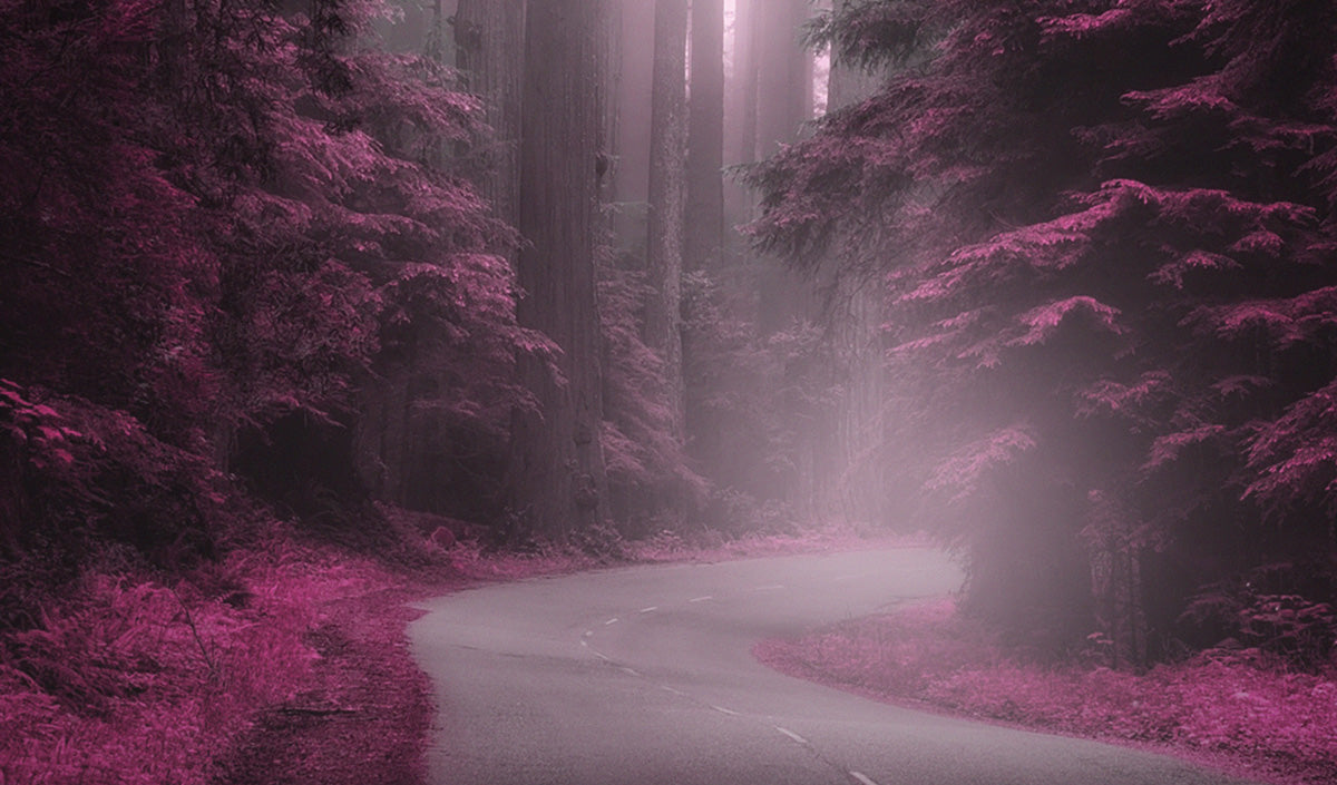 BOSCO INCANTATO - POSTER in PVC da 3mm - PlastiWood (14553073)