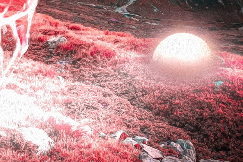 CERVO - POSTER in PVC da 3mm - PlastiWood (14553323)