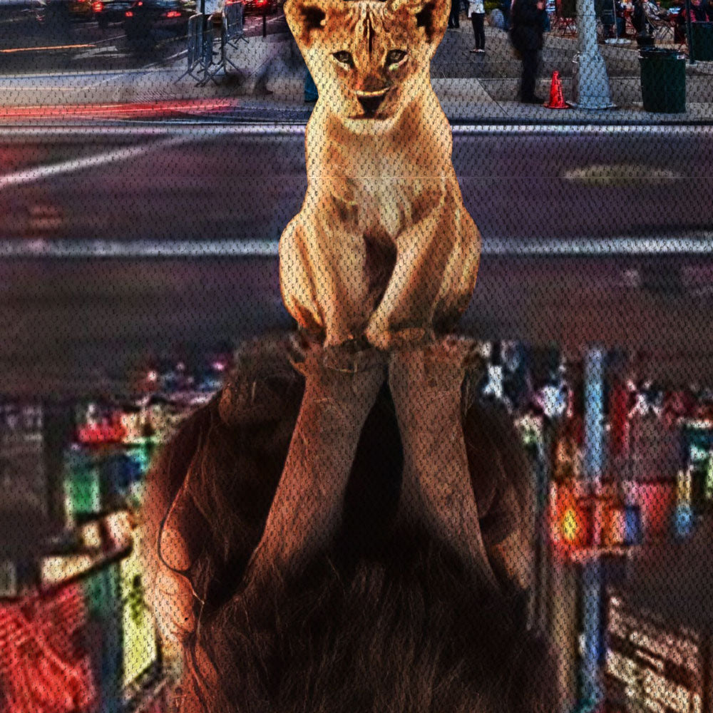 Da Grande -  Quadro Canvas Contemporaneo su telaio in legno - PlastiWood (14553877)