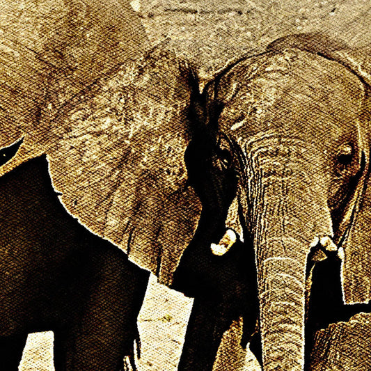 ELEFANTI - POSTER in PVC da 3mm - PlastiWood (14554194)