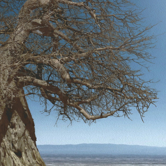 FANTASY TREE - POSTER in PVC da 3mm - PlastiWood (14554313)