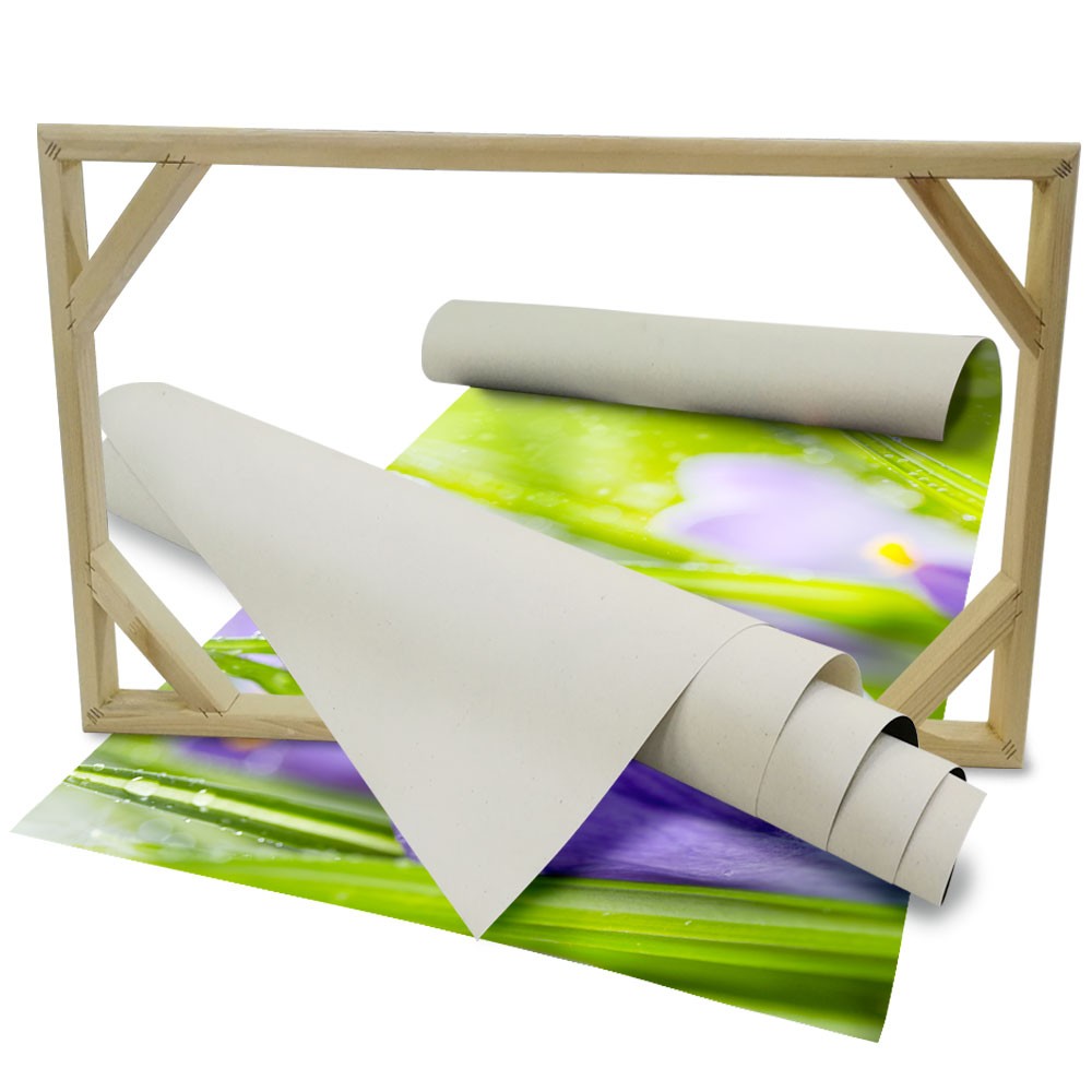 Fiori della Sorgente del Croco - Quadro Canvas su telaio in legno - PlastiWood (14554436)