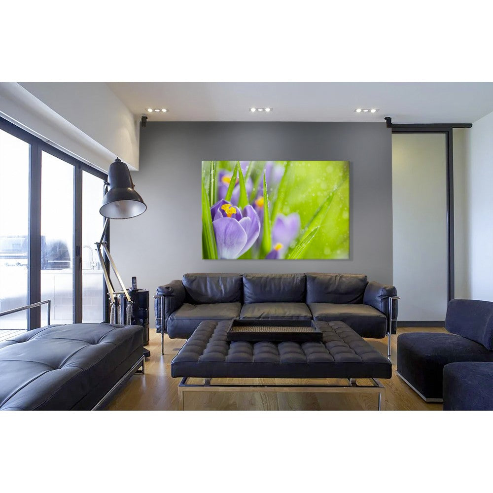 Fiori della Sorgente del Croco - Quadro Canvas su telaio in legno - PlastiWood (14554438)