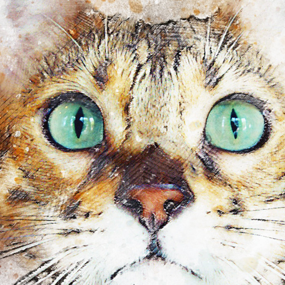 GATTINO - POSTER in PVC da 3mm - PlastiWood (14554745)