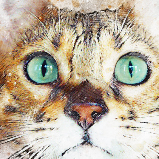 GATTINO - POSTER in PVC da 3mm - PlastiWood (14554745)