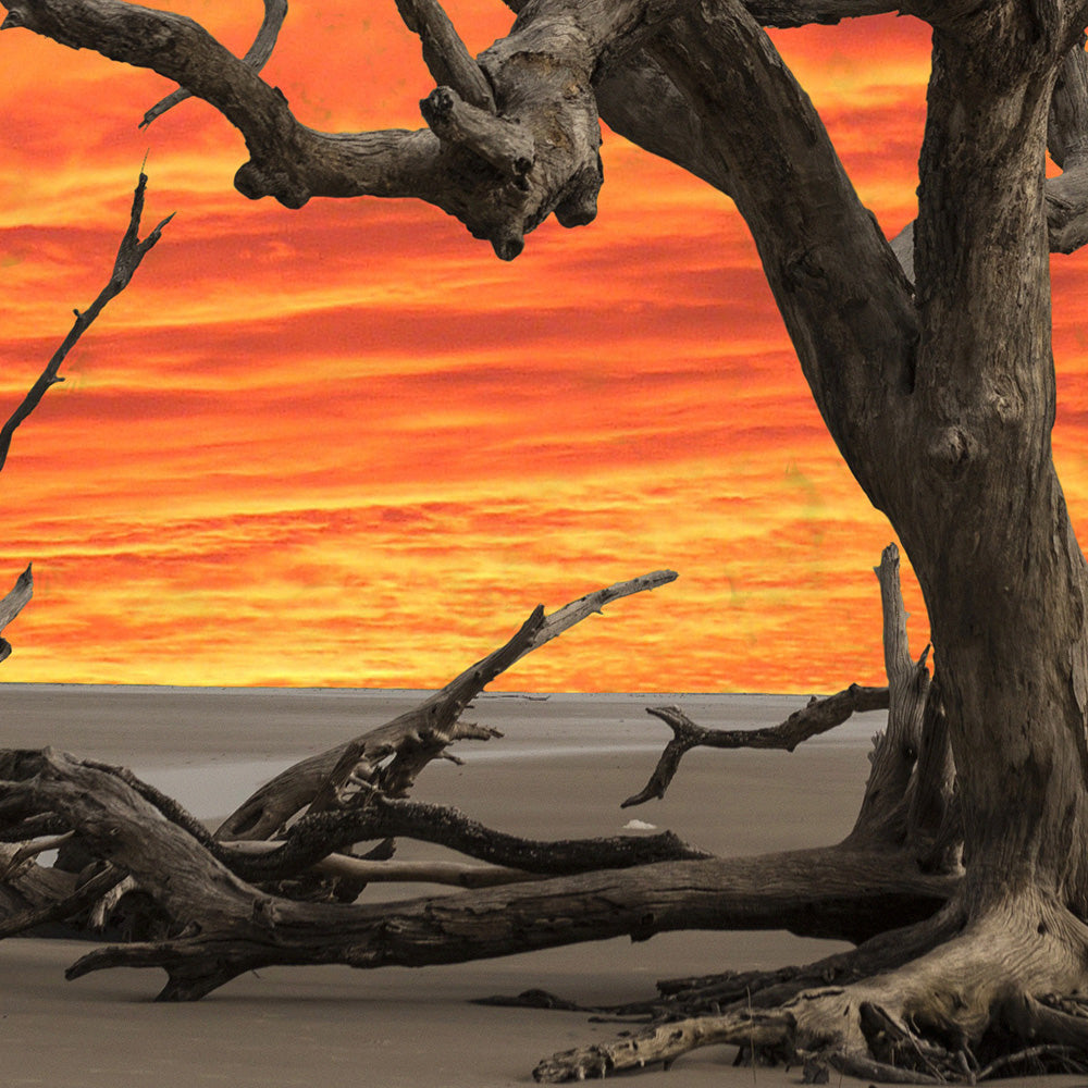 INARIDITO - POSTER in PVC da 3mm - PlastiWood (14555139)