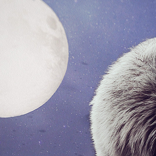 INCONTRI RAVVICINATI - POSTER in PVC da 3mm - PlastiWood (14555142)