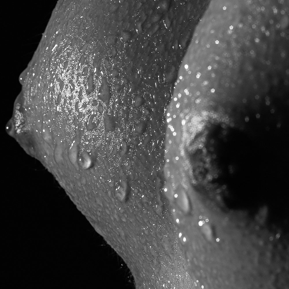 MICHELLE - POSTER in PVC da 3mm - PlastiWood (14556001)