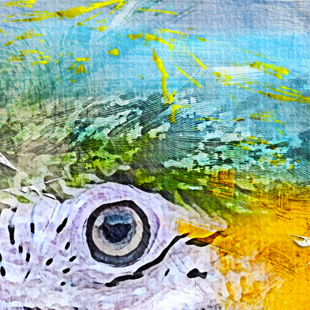 PAPPAGALLO - POSTER in PVC da 3mm - PlastiWood (14556524)