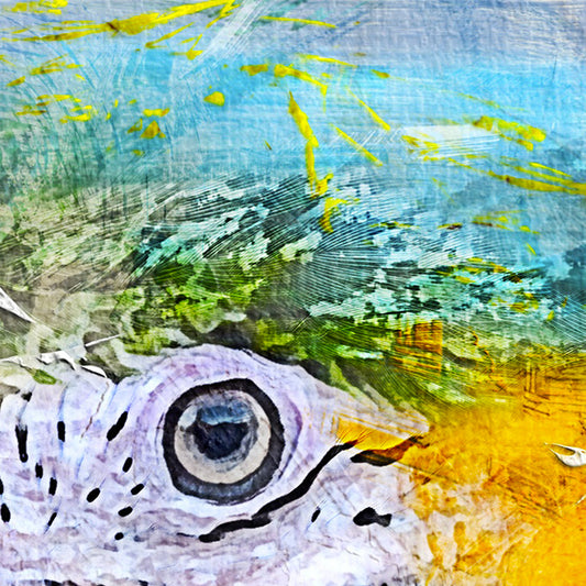 PAPPAGALLO - POSTER in PVC da 3mm - PlastiWood (14556524)