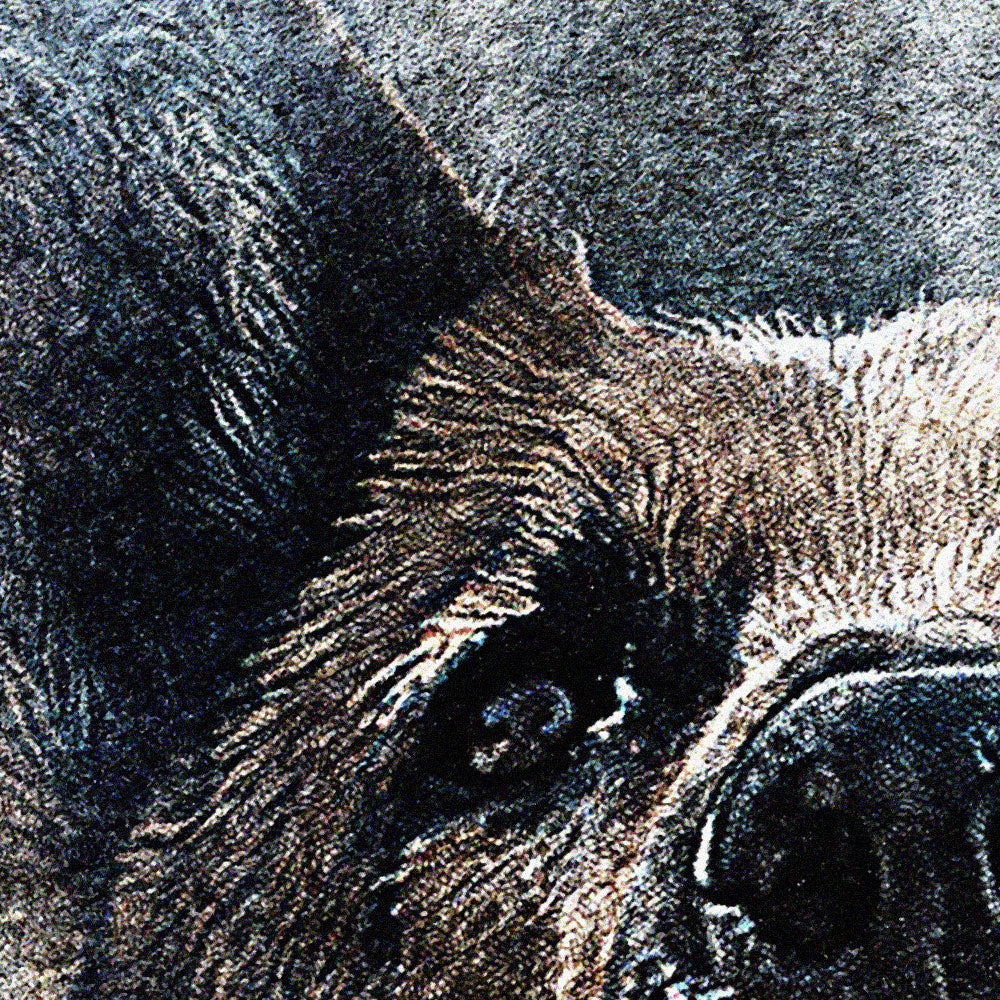 PASTORE TEDESCO - POSTER in PVC da 3mm - PlastiWood (14556536)