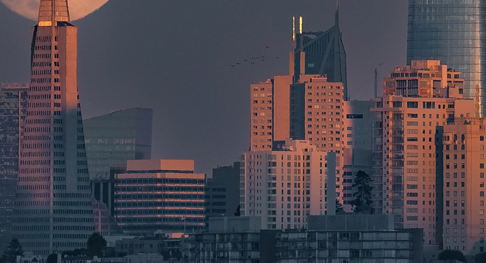 SAN FRANCISCO - POSTER in PVC da 3mm - PlastiWood (14557528)