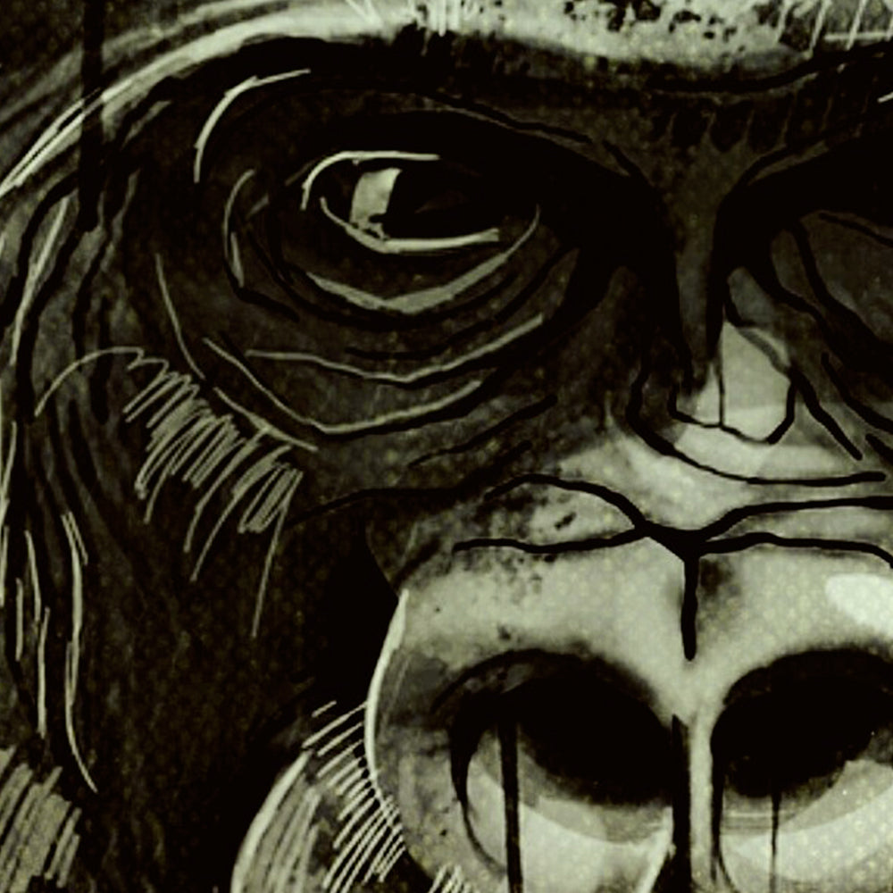 SCIMPANZE' - POSTER in PVC da 3mm - PlastiWood (14557581)