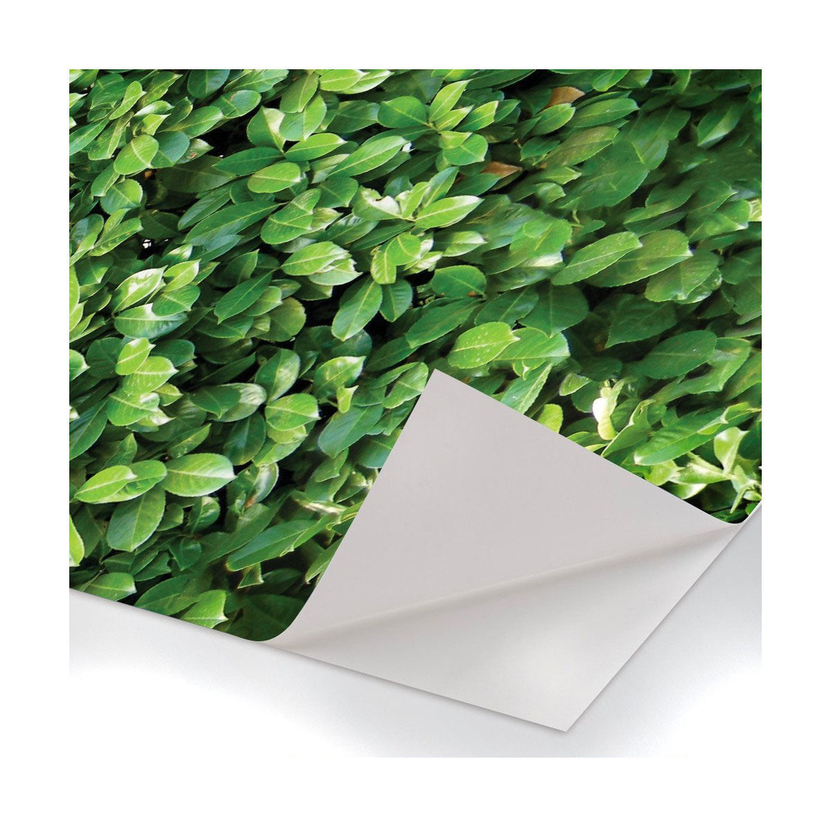 Siepe - Pellicola stampata adesiva in PVC finitura opaca - PlastiWood (14557653)