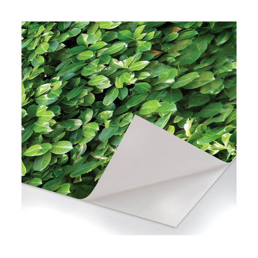 Siepe - Pellicola stampata adesiva in PVC finitura opaca - PlastiWood (14557653)