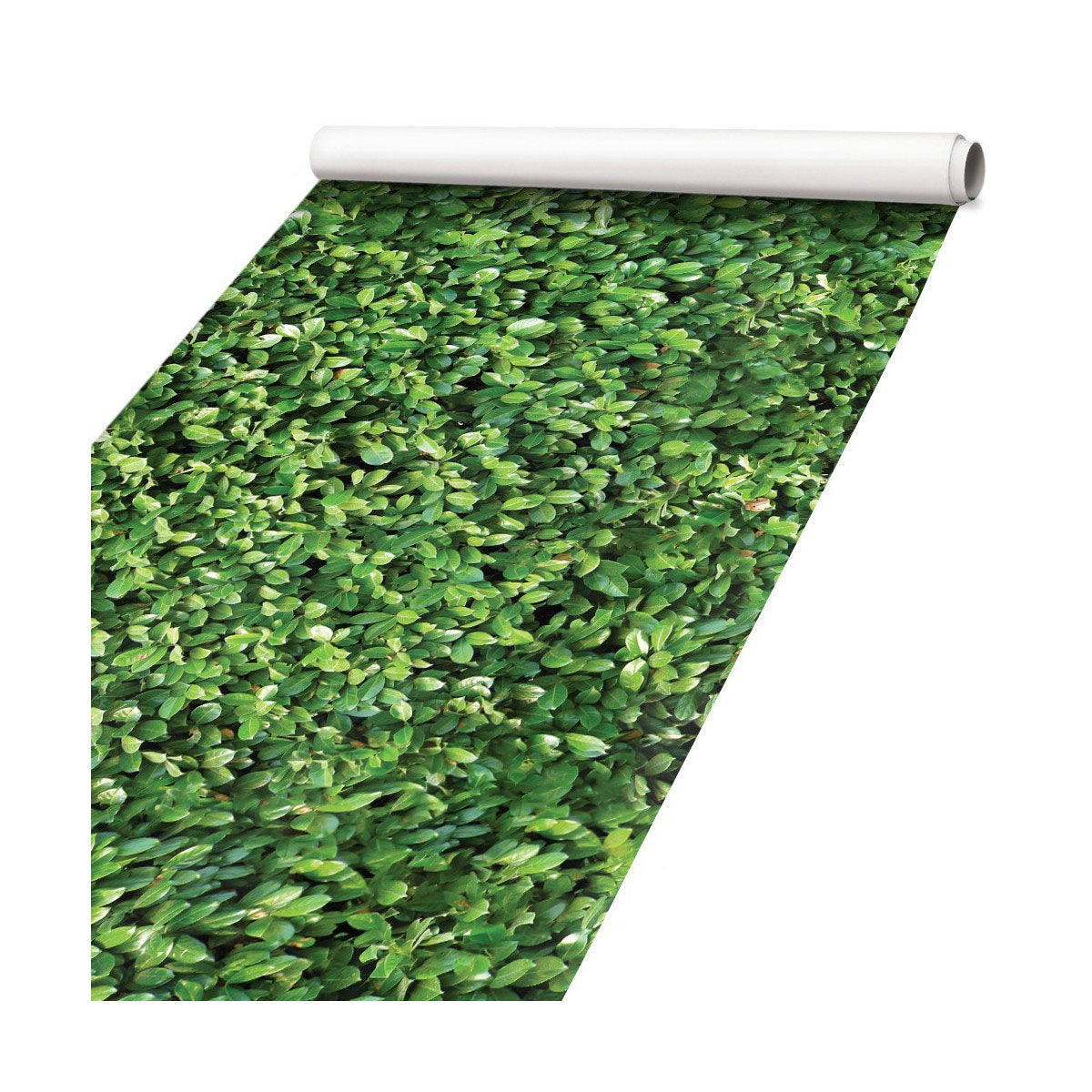 Siepe - Pellicola stampata adesiva in PVC finitura opaca - PlastiWood (14557654)