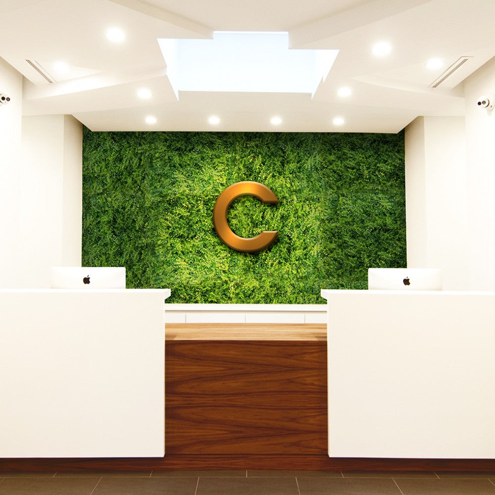 SIEPE ARTIFICIALE BP20 - PANNELLO 50X50cm in PVC - PlastiWood (14557665)