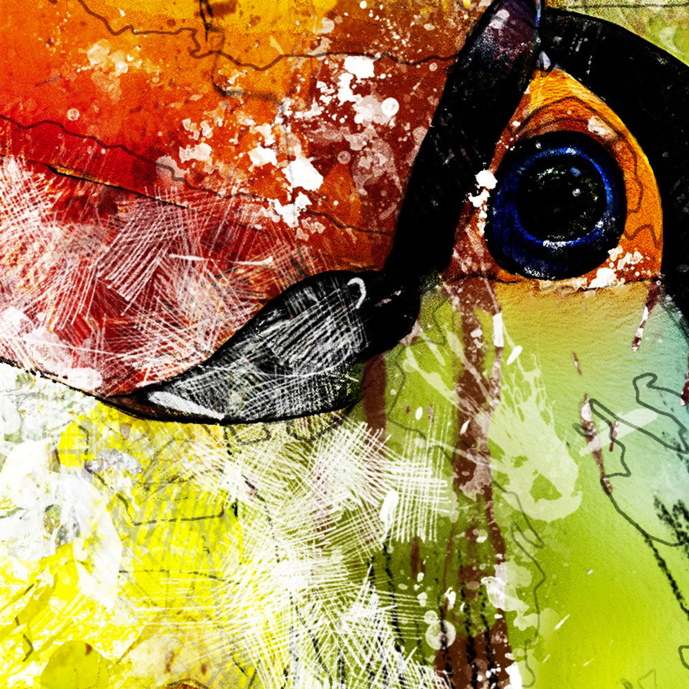 TUCANO - POSTER in PVC da 3mm - PlastiWood (14558526)