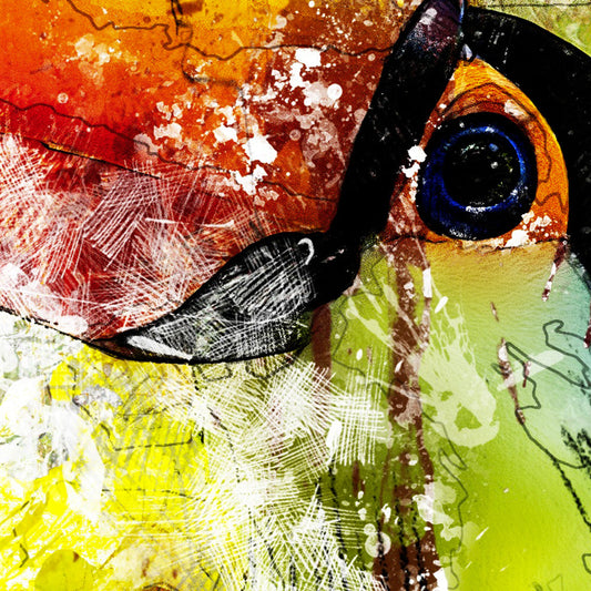 TUCANO - POSTER in PVC da 3mm - PlastiWood (14558526)