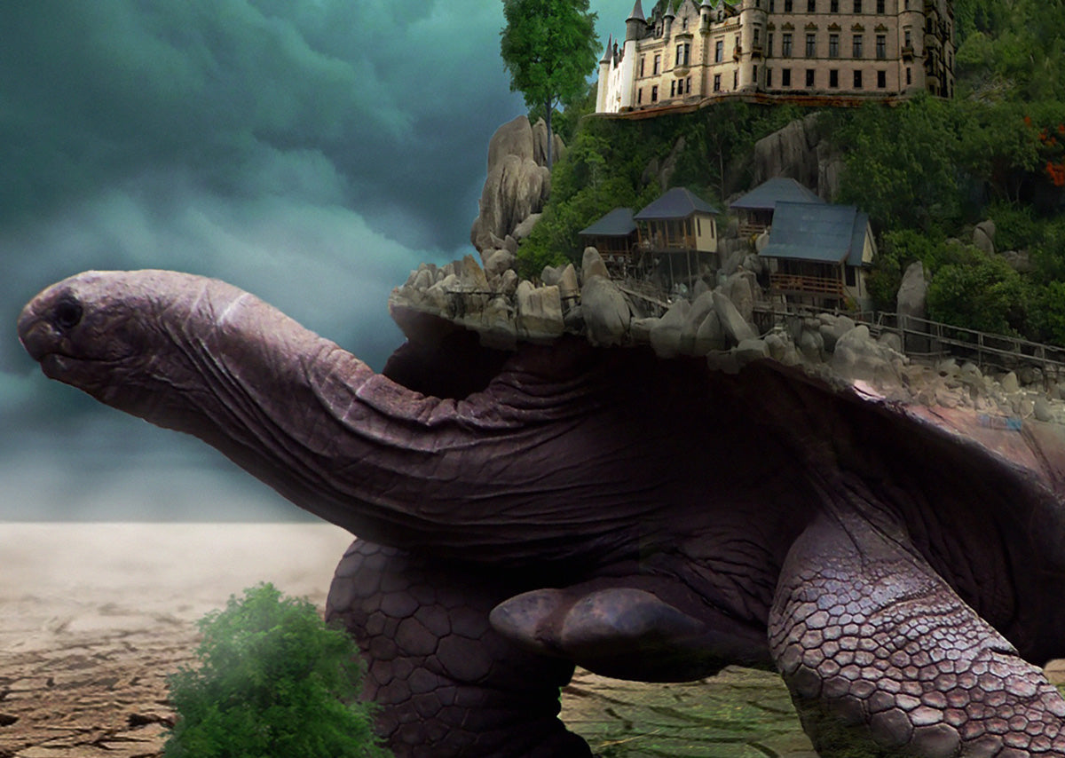 TURTLE CITY - POSTER in PVC da 3mm - PlastiWood (14558533)