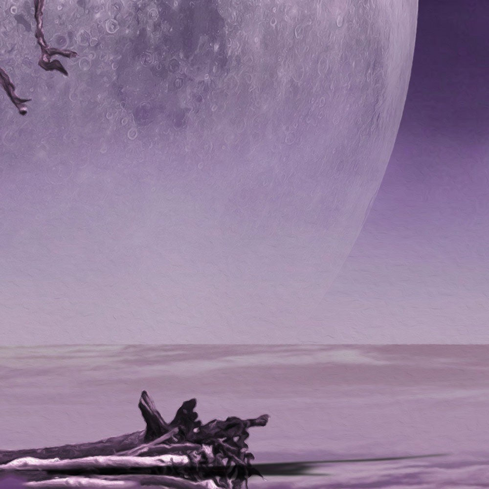 TWIN MOONS - POSTER in PVC da 3mm - PlastiWood (14558535)