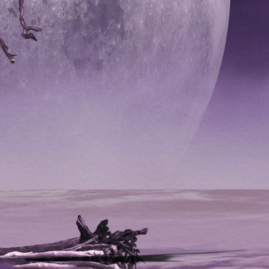 TWIN MOONS - POSTER in PVC da 3mm - PlastiWood (14558535)