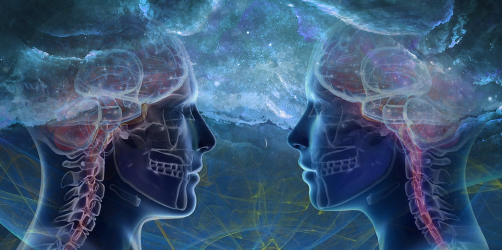 X-RAY - POSTER in PVC da 3mm - PlastiWood (14558948)