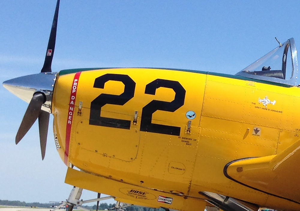 YELLOW PLANE - POSTER in PVC da 3mm - PlastiWood (14558977)