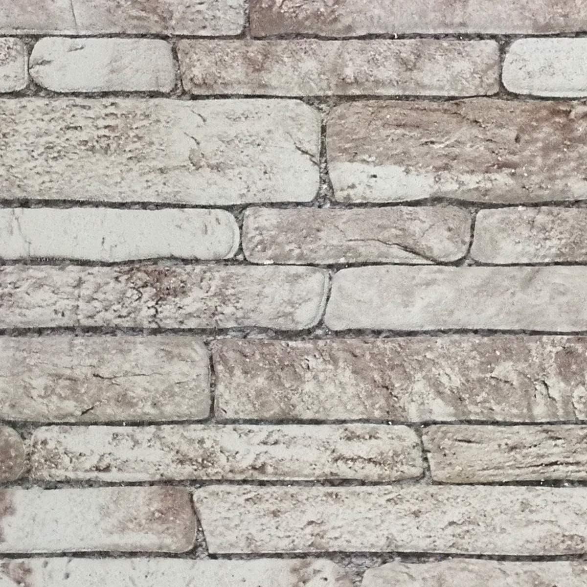 DAKOTA STONE - Pannello finta Pietra in EPS Resinato Misura 100x50 cm Spessore 2 Cm - RETAIL BOX da 10 pannelli (sviluppano 5 MQ) - PlastiWood