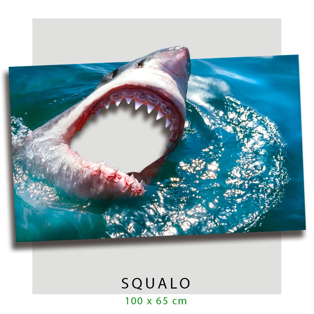 Cornice selfie nella bocca dello SQUALO - PlastiWood (14553684)