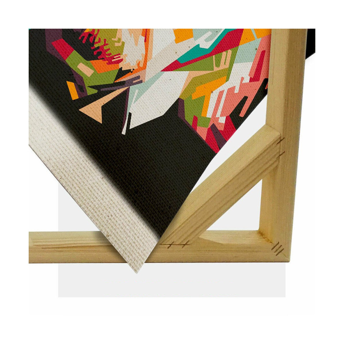 Tela arredo ALBERT EINSTEIN pop art - stampa su tela in alta definizione - PlastiWood (14558170)